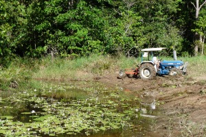 Working on G.Pond drain
